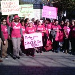 Initiative citoyenne pour la santé des femmes : Flandre Rose